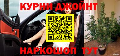 гашик Заводоуковск