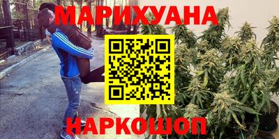 гашик Заводоуковск