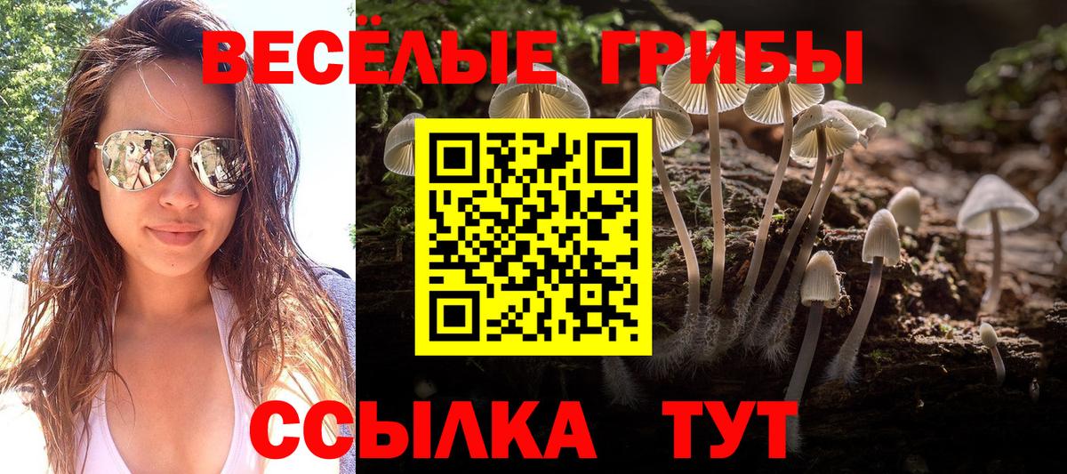Галлюциногенные грибы ЛСД Зеленокумск