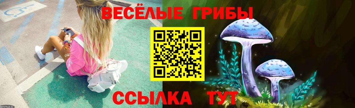 Псилоцибиновые грибы Magic Shrooms  Вход с VPN  Зеленокумск 